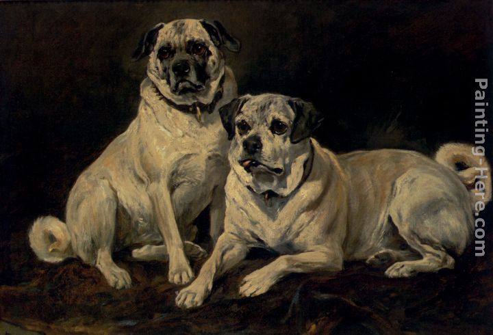 Pugs painting - John Emms Pugs art painting